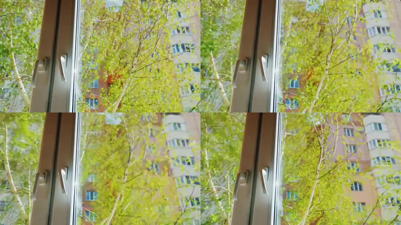 从房子或公寓的窗户看。前景中有一个塑料窗户，后面是一棵绿树，叶子刚吹过。春天，阳光明媚