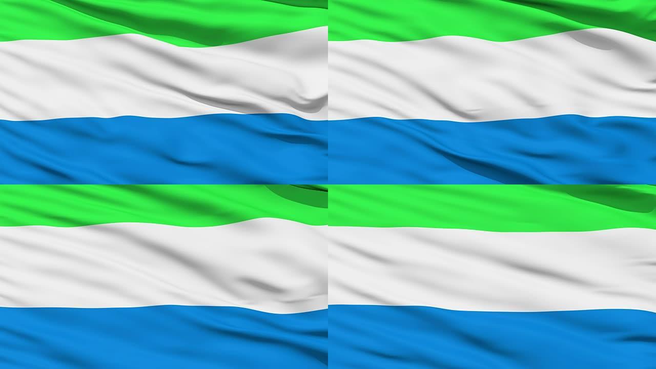 挥舞塞拉利昂国旗