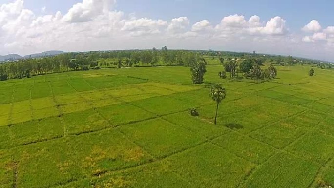 空中拍摄稻田和山景