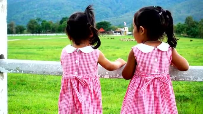 两个小女孩站在那里看着农场