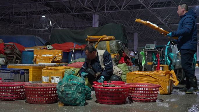 青岛城阳水产品批发市场 鲅鱼 大虾交易