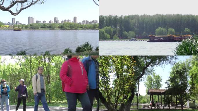 春游公园一家人游玩晨练骑行跑步北京旅游