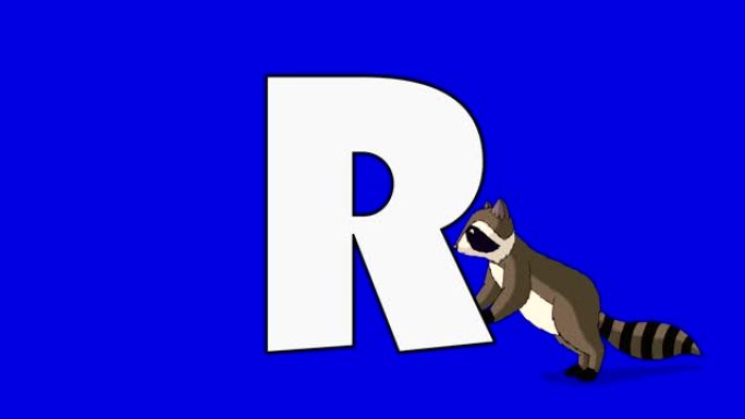 字母R和浣熊 (背景)