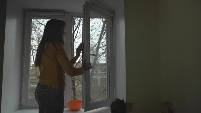 黑发女人在春天洗窗户。