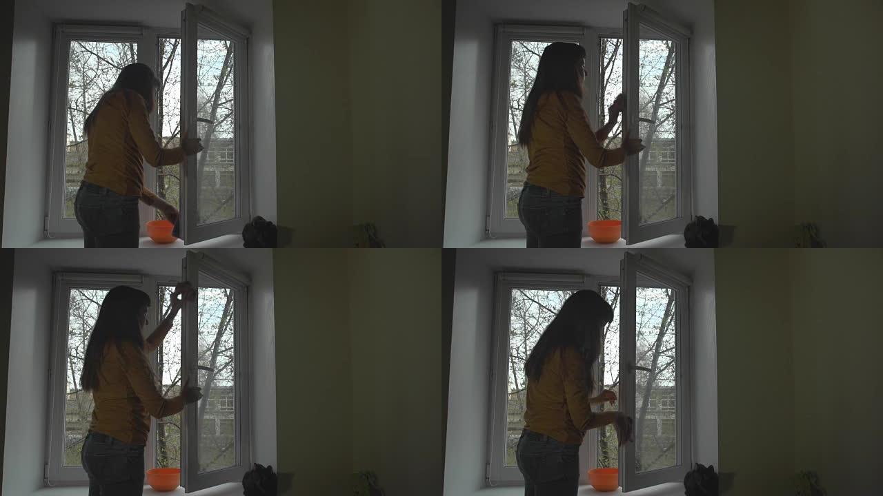 黑发女人在春天洗窗户。