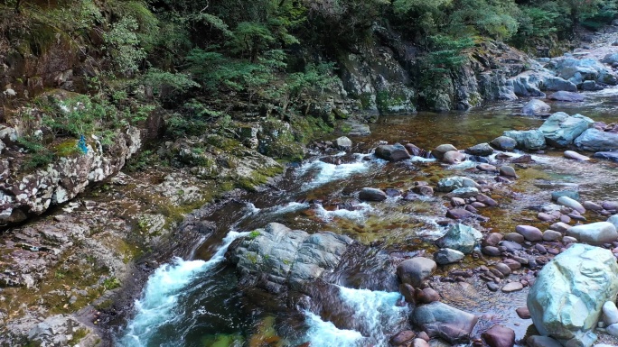 航拍峡谷中清澈溪水在长满青苔的岩石上流淌