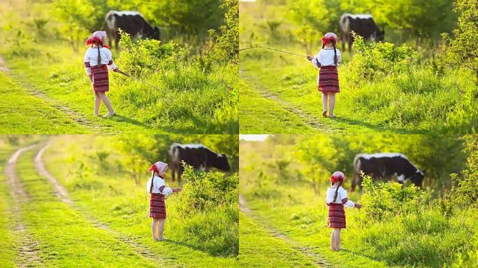 女孩喂牛