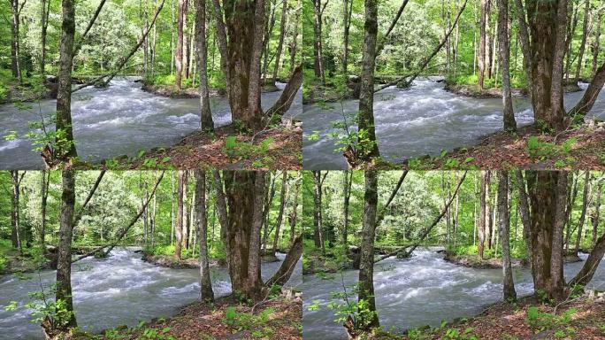 森林中的山河流水