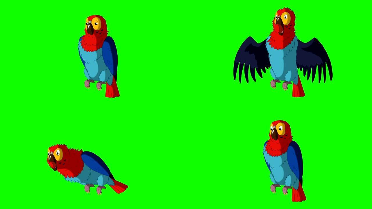 五颜六色的鹦鹉会生气。经典手工动画
