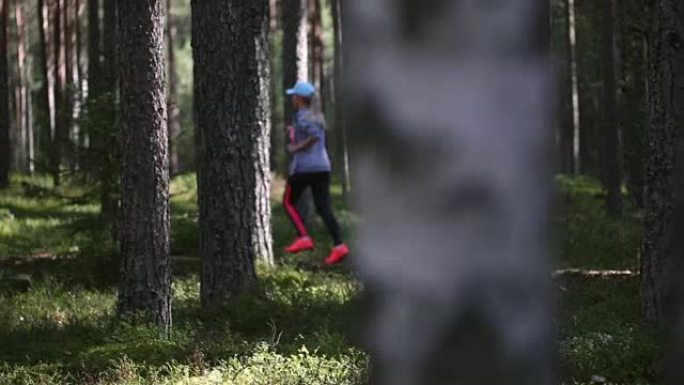 健身妇女训练和慢跑在松树和桦树森林