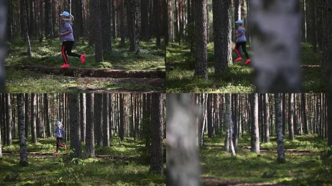 健身妇女训练和慢跑在松树和桦树森林