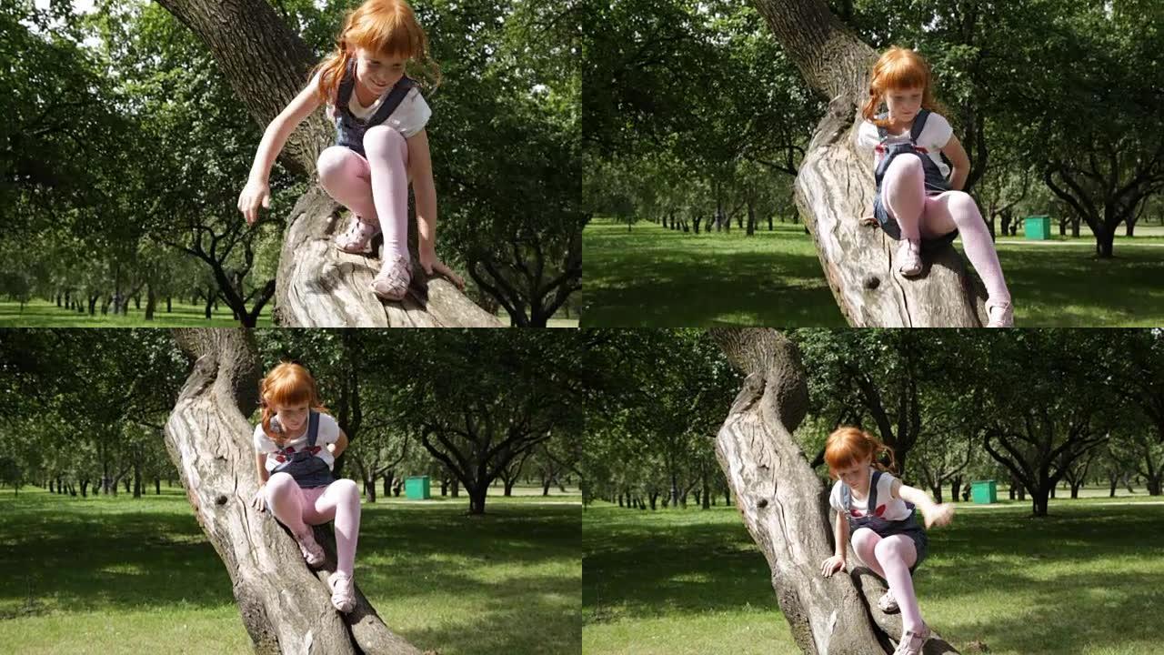 穿着牛仔连衣裙的小姜女孩正在爬下一棵树