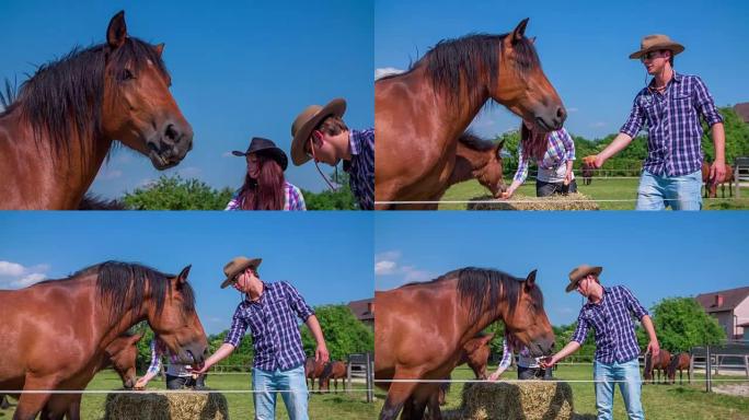 一个年轻的牛仔正在喂一匹大马。他身后的女友正在喂一匹小马。特写镜头。