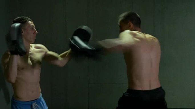 两个男子跆拳道拳手在拳击工作室集中和决心训练