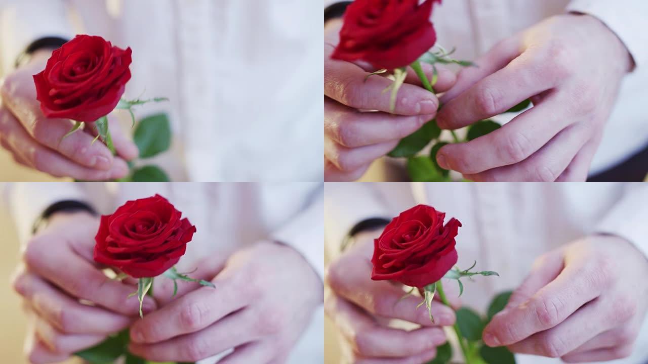 男子手里拿着一朵红玫瑰