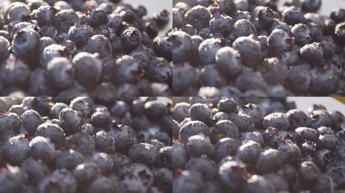 旋转白盘上新鲜蓝莓的特写镜头