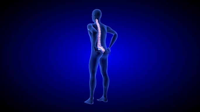 脊椎疼痛。蓝色背景上的蓝色人体解剖体3D扫描渲染-无缝循环