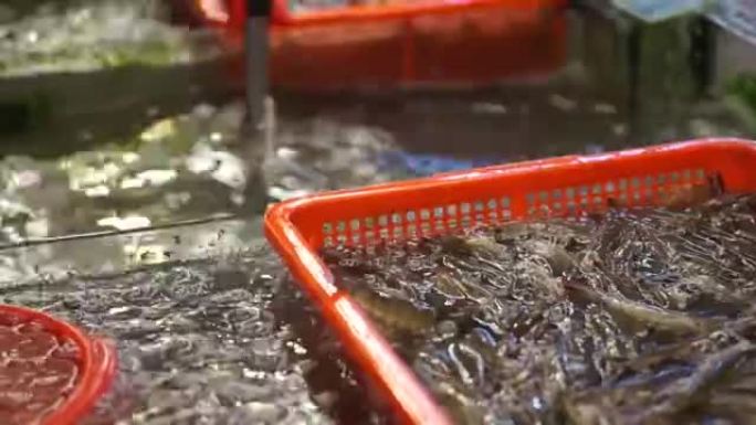 在中国市场上跳跃活海鲜虾。手持大虾出售