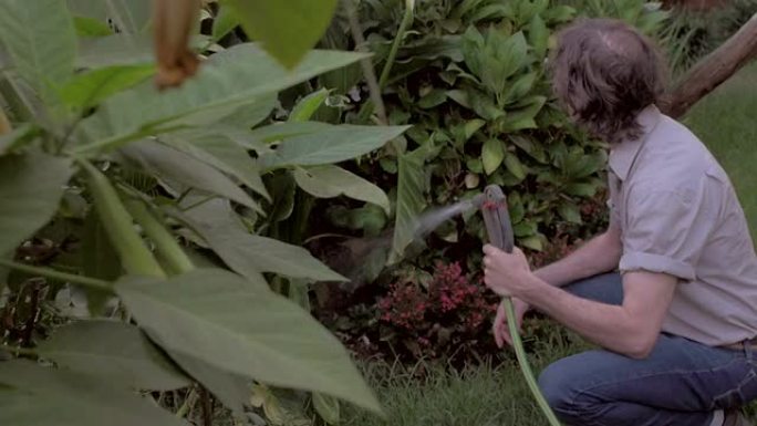 中年男子用慢速的软管浇灌郁郁葱葱的室外热带花园。