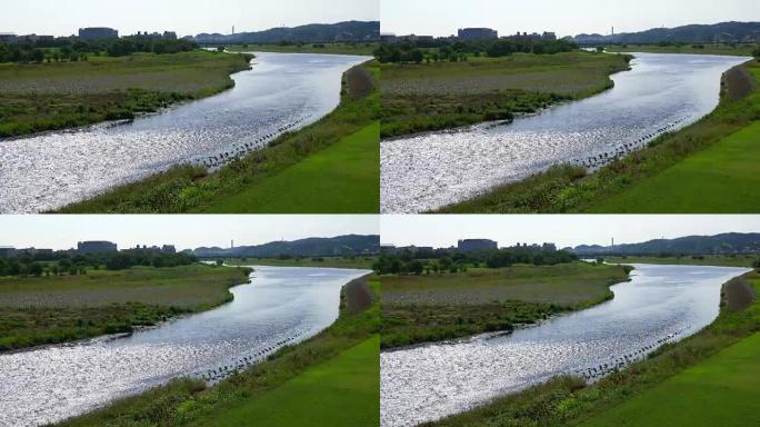 2016年6月10日上午8:00，福洲四谷桥(靠近樱冈震立)的多摩河记录