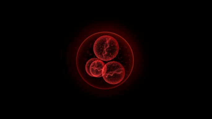 微型红色DNA细胞能够无缝循环