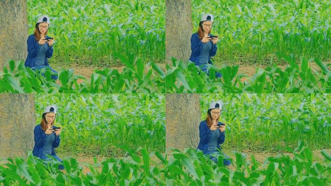一名亚洲年轻女子在玉米地里用智能手机写短信