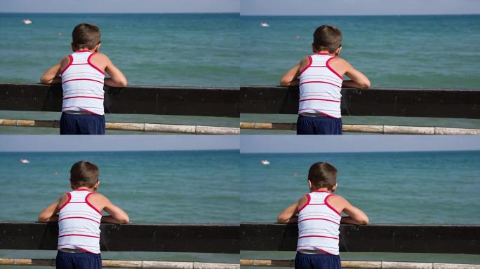 男孩在海边看着栅栏
