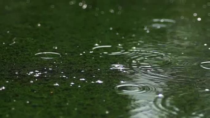 雨路自然秋