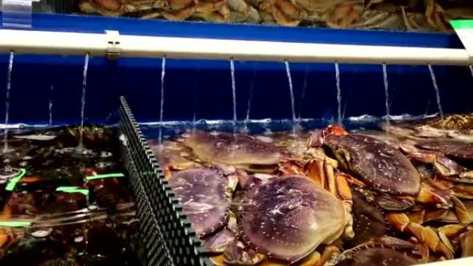 活螃蟹在水箱中的运动