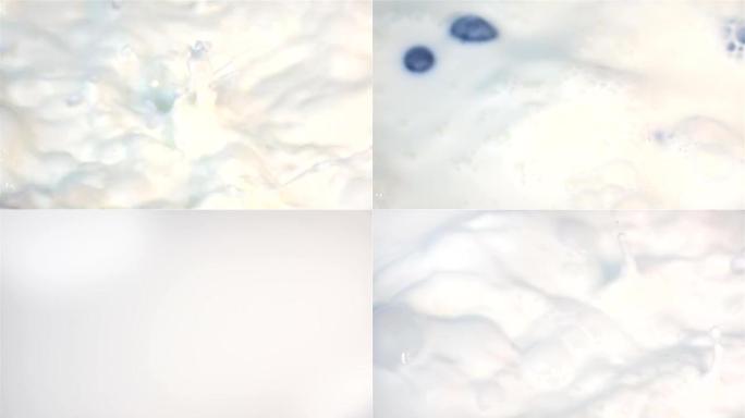 蓝莓掉入牛奶的两个视频-真正的慢动作