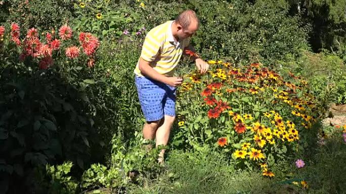 穿着短裤的年轻园丁在阳光明媚的花园里摘红花