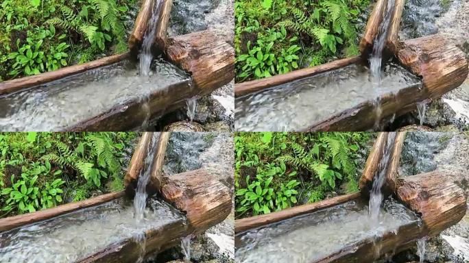 欧洲阿尔卑斯山的树干喷泉。流水。