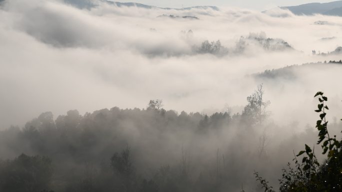 山林被云海笼罩的延时视频