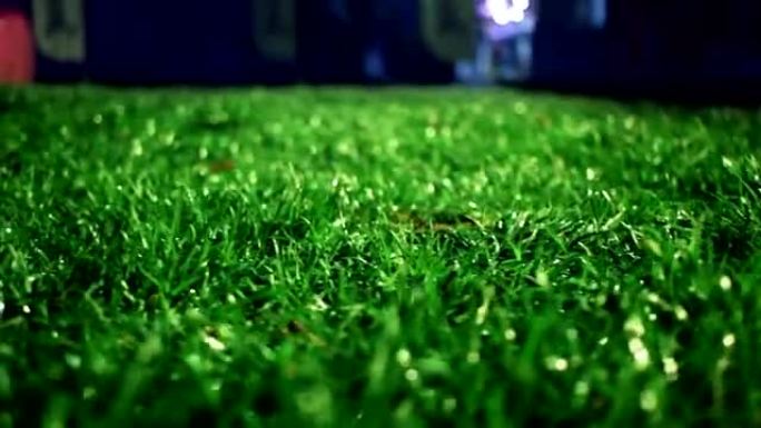 绿草背景。体育场之夜。绿草足球场背景。