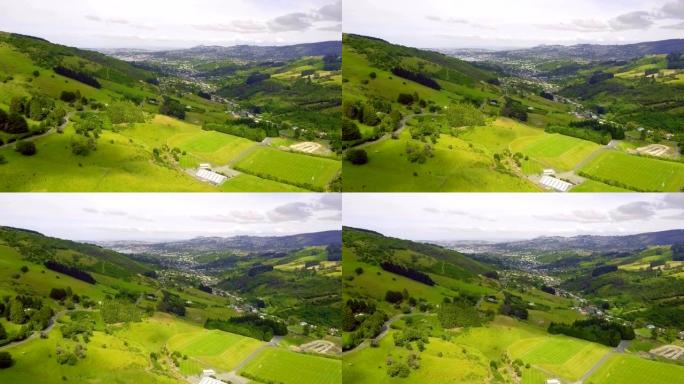 鸟瞰图达尼丁镇和草原，新西兰