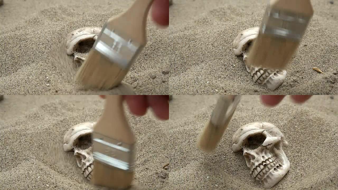 人类头骨从沙子上刷了出来