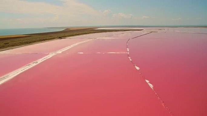 粉红色浮游生物色盐海水蒸发池的鸟瞰图