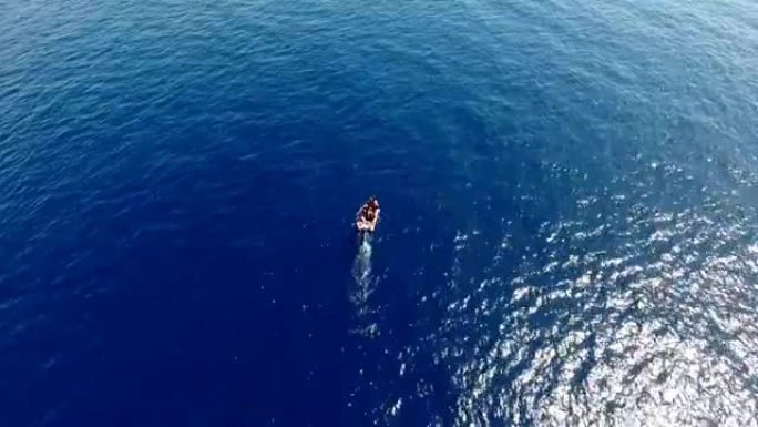 空中: 蓝色海中的摩托艇，里面有人