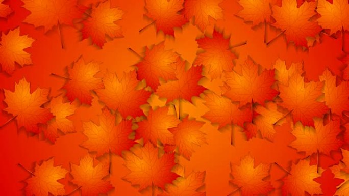 抽象红色橙色秋季视频动画