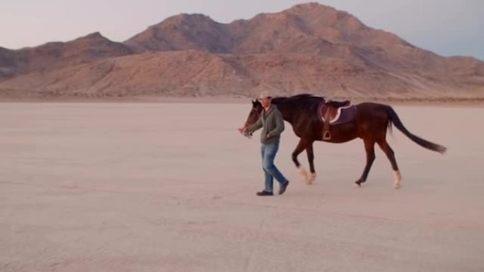 年轻人在沙漠中带领马匹