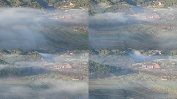 云雾缭绕下的山间田地延时视频