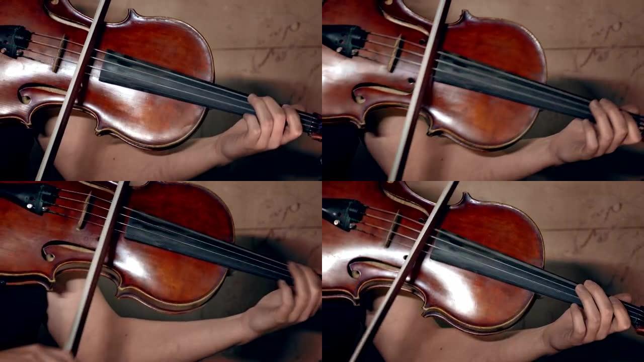 小提琴手演奏/小提琴演奏者/乐团音乐家