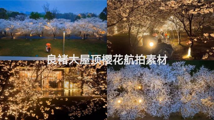 杭州良褚文化艺术中心樱花航拍素材