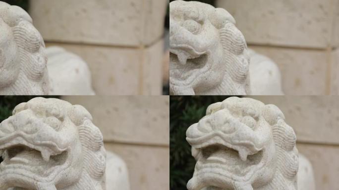多莉狮子雕像的镜头