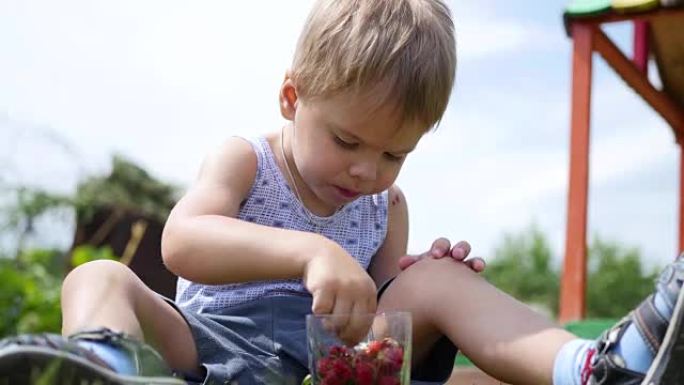 孩子坐在草坪上吃红色浆果。维多利亚花园浆果