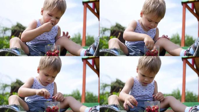 孩子坐在草坪上吃红色浆果。维多利亚花园浆果