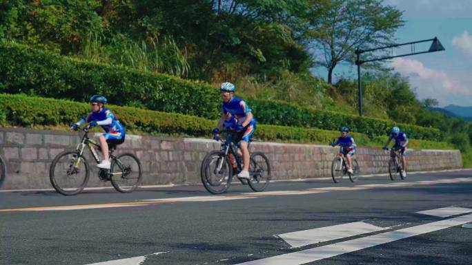 大山自行车4K01