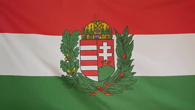 匈牙利盾形纹章旗帜真实织物的特写
