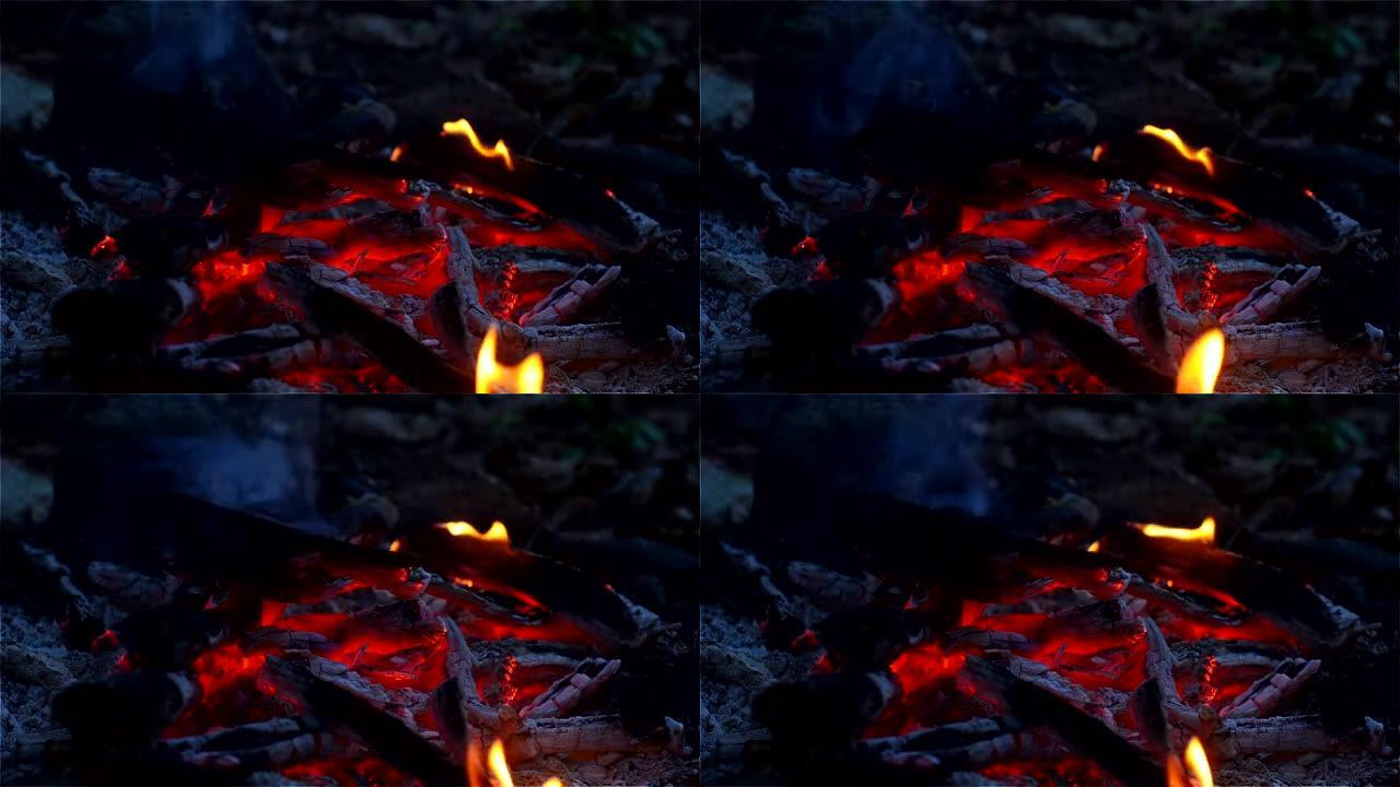 营地森林地面上的火与光