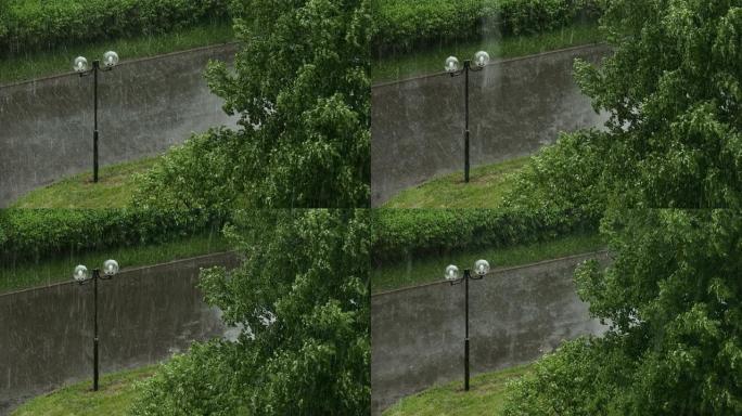 夏季公园里的雨天和刮风的日子